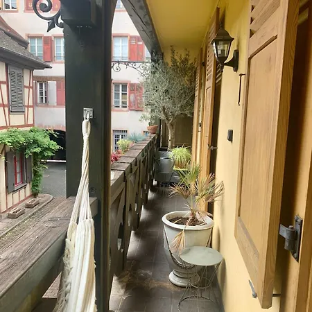 Historic Center Charming Duplex With Garage *