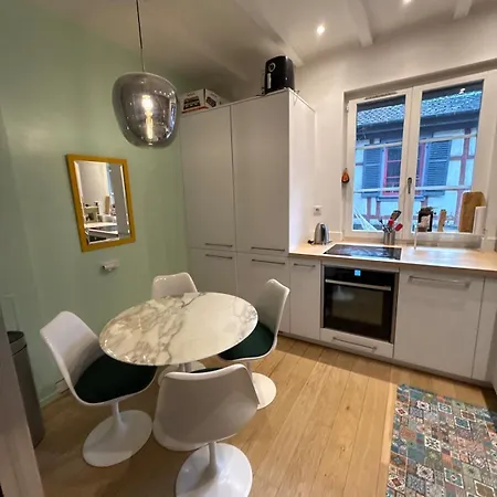 Historic Center Charming Duplex With Garage * Colmar