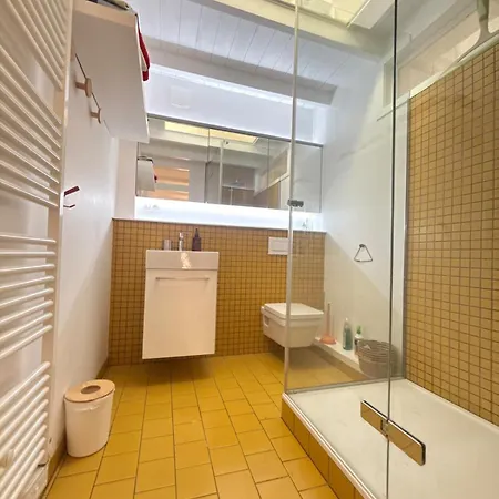 Historic Center Charming Duplex With Garage Colmar