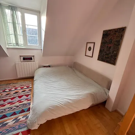 Historic Center Charming Duplex With Garage * קולמר
