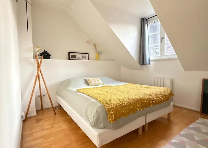 Historic Center Charming Duplex With Balcony Appartement Colmar